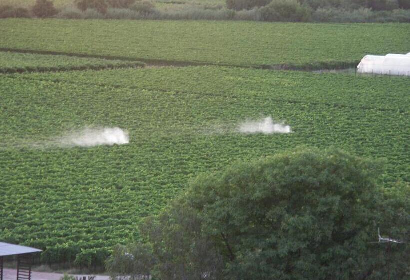 פנסיון The Overlook