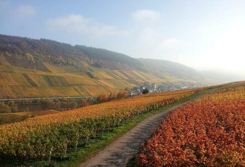 ペンション Weingut Brennerei Gästehaus Emil Dauns