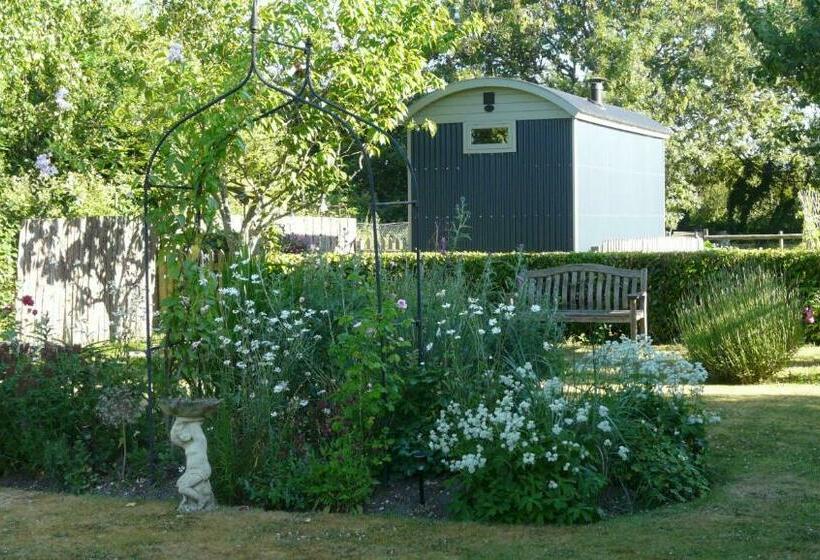 ベッドアンドブレックファースト Dolly At Lowlands