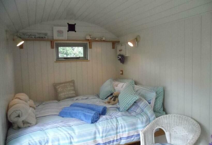 ベッドアンドブレックファースト Dolly At Lowlands