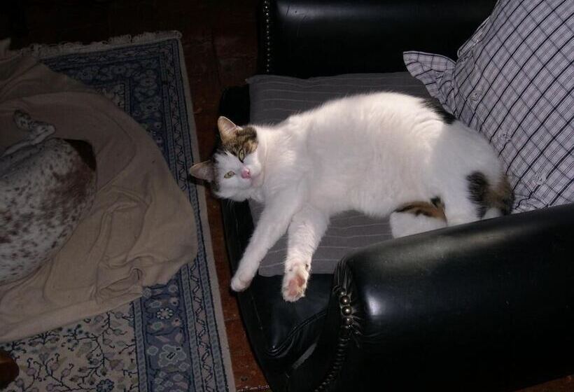 צימר Stuartlodge S