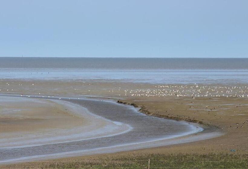 مبيت وإفطار T Laaisterplakky