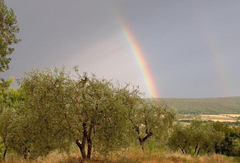 住宿加早餐 Torre Della Chiocciola