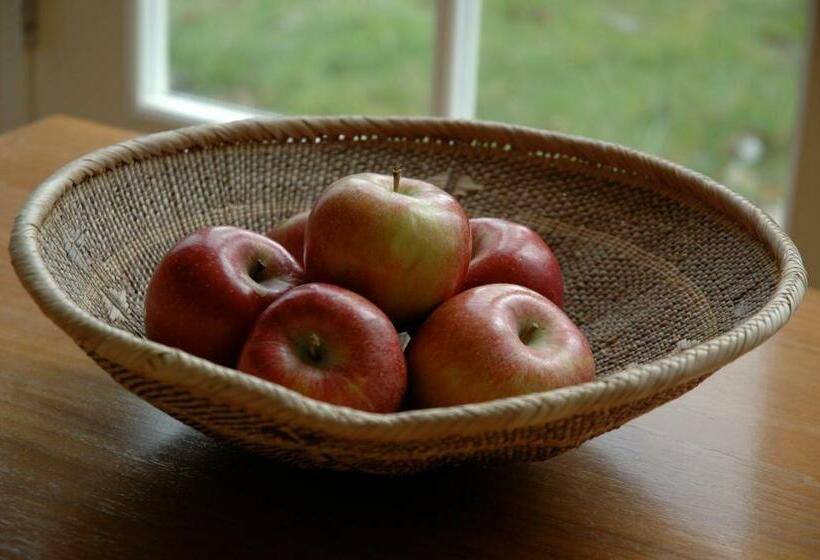住宿加早餐  Field Cottage Bed And Continental Breakfast