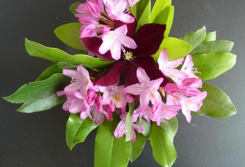 צימר Chambres D Hôtes Le Saleix