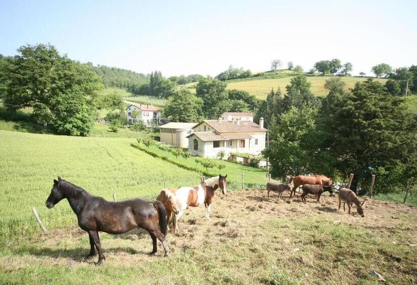 호텔 Borgo Di Cortolla