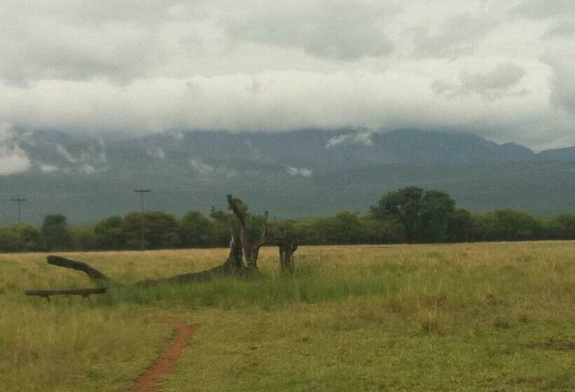 酒店 Boschfontein Guest Farm