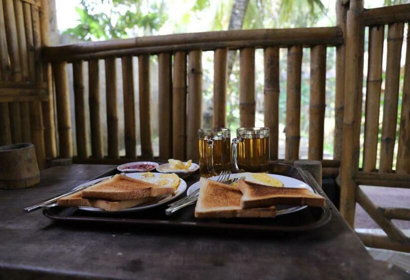 پانسیون Bale Ku