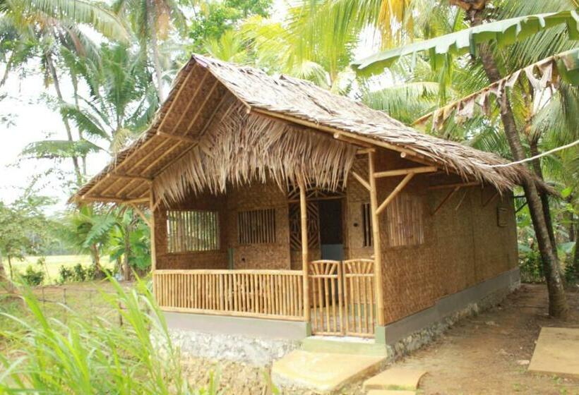 پانسیون Bale Ku