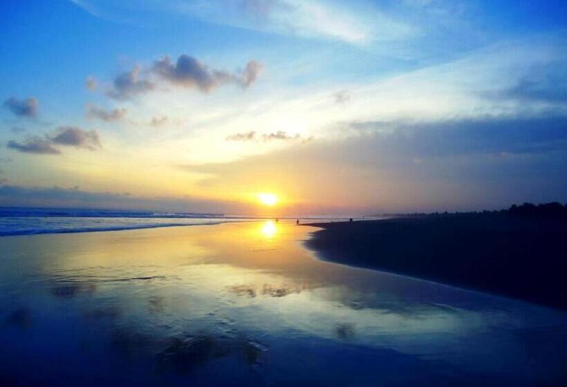 پانسیون Bale Ku