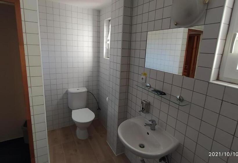 ペンション Penzion U Rybníka