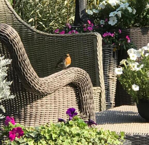 بنسيون Villa  T Haasduin