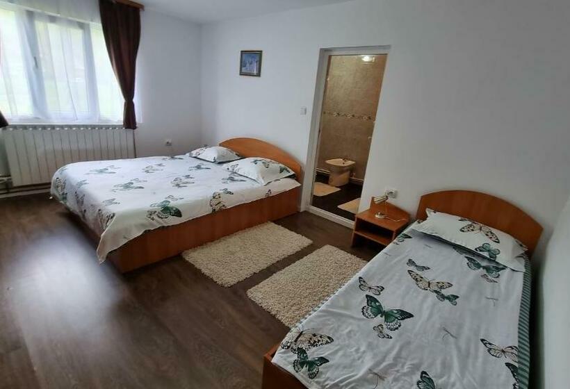 Pensiunea Barsan