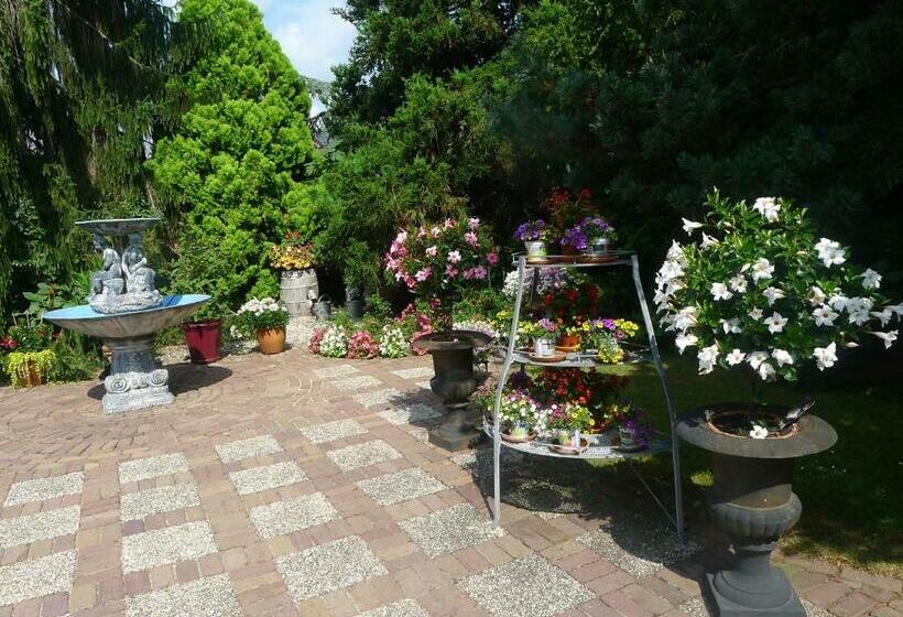 B&b De Kleine Wijngaard