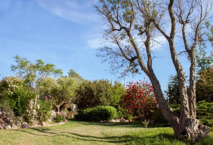 Bed and Breakfast Il Vecchioliveto Di Ornella