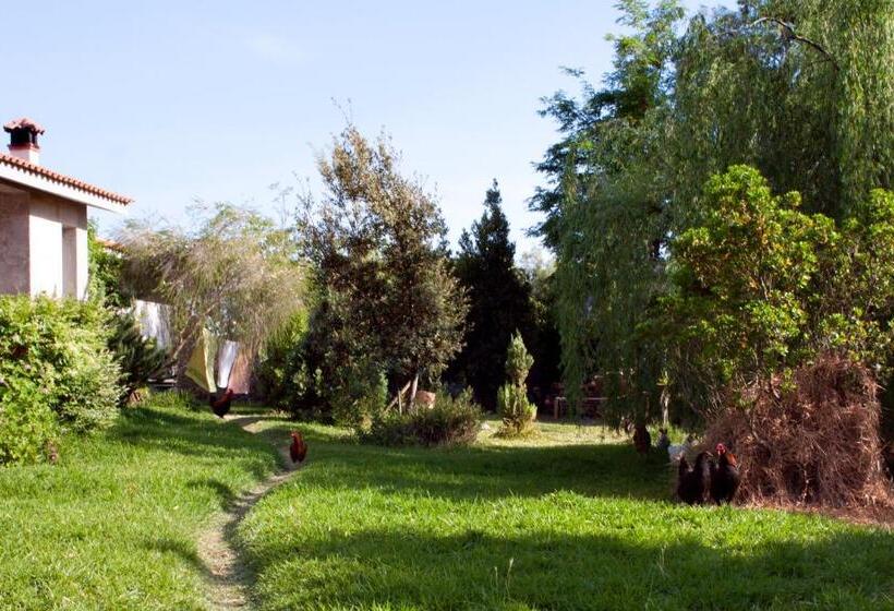 Bed and Breakfast Il Vecchioliveto Di Ornella