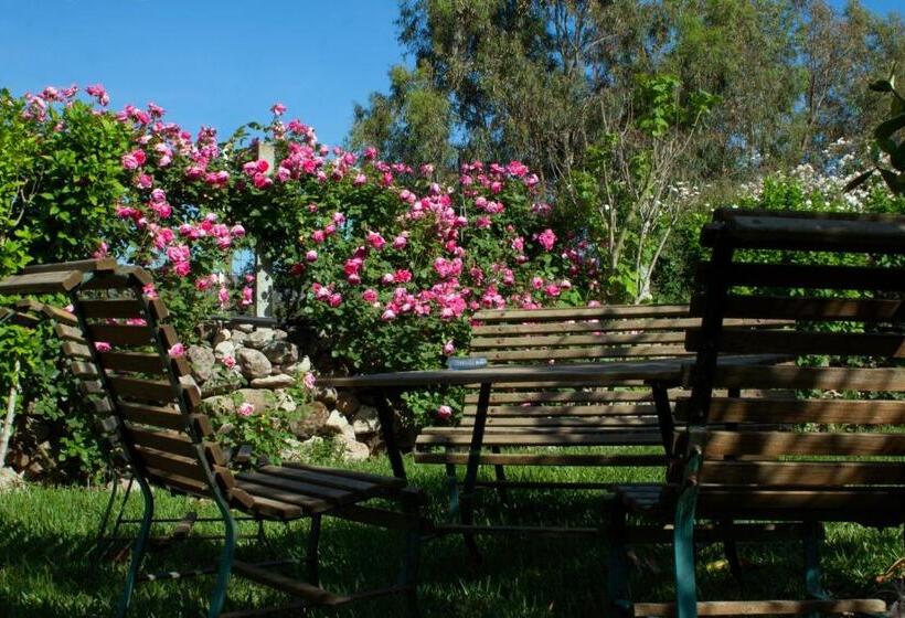 Bed and Breakfast Il Vecchioliveto Di Ornella