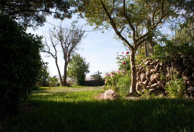 Bed and Breakfast Il Vecchioliveto Di Ornella