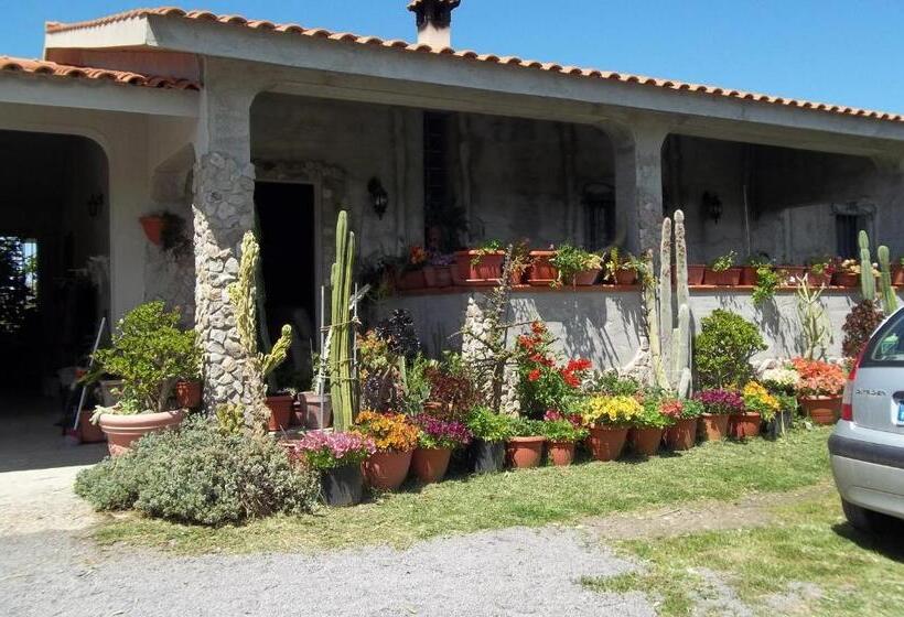 Bed and Breakfast Il Vecchioliveto Di Ornella