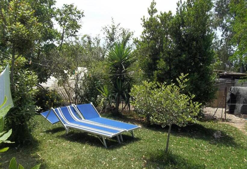 Bed and Breakfast Il Vecchioliveto Di Ornella