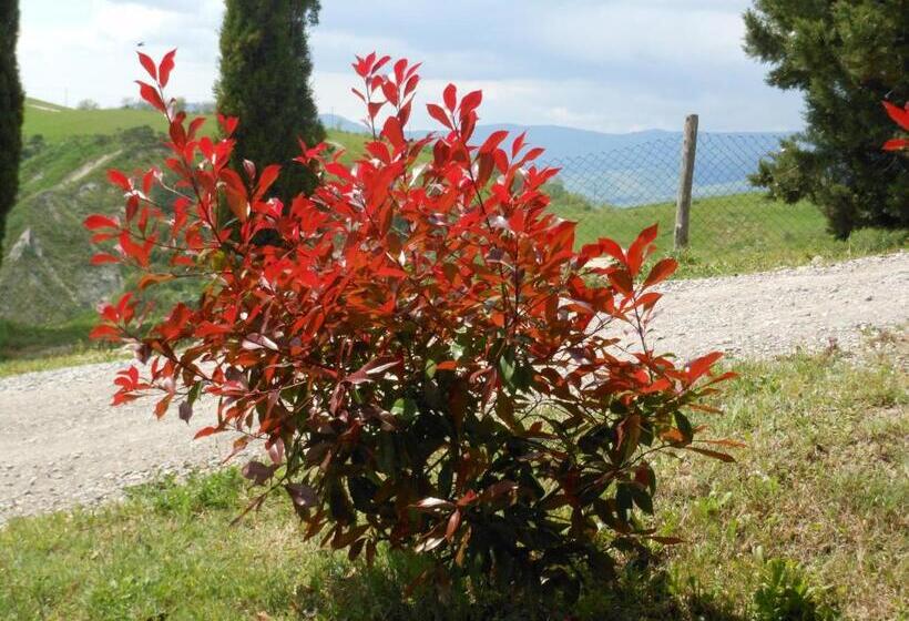 فندق Agriturismo Collomici