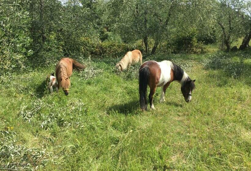 فندق Agriturismo Podere Sottogello