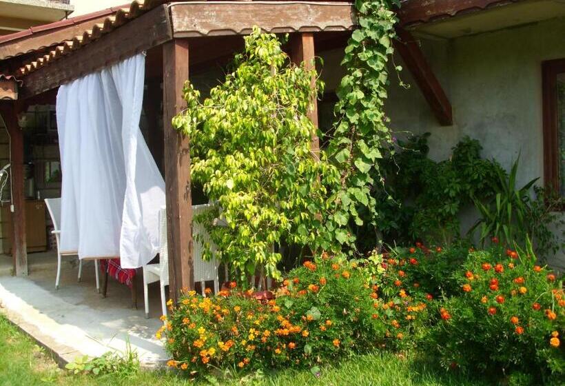 پانسیون Elida Guest House