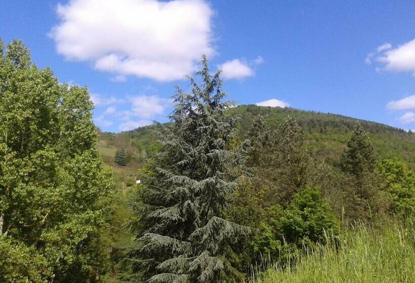 膳宿费 Les Cèdres Bleus De Joany