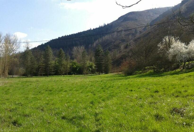 膳宿费 Les Cèdres Bleus De Joany