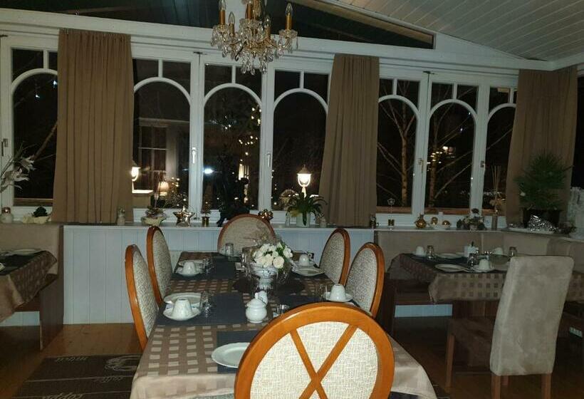 بنسيون Villa Elisabeth