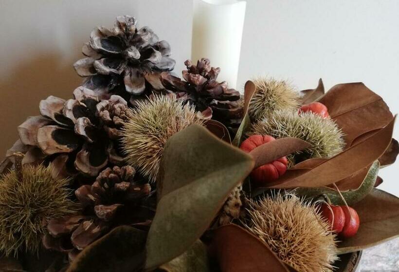 ベッドアンドブレックファースト Villa Bema