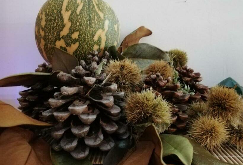 ベッドアンドブレックファースト Villa Bema