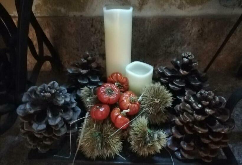 ベッドアンドブレックファースト Villa Bema