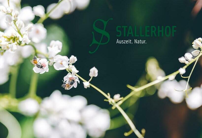 فندق Stallerhof