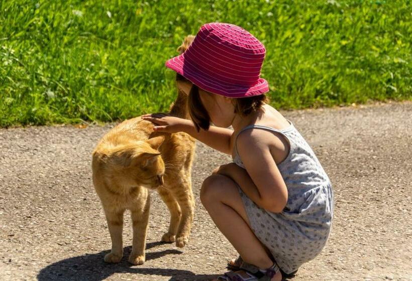 ペンション Familienbauernhof Salmanner