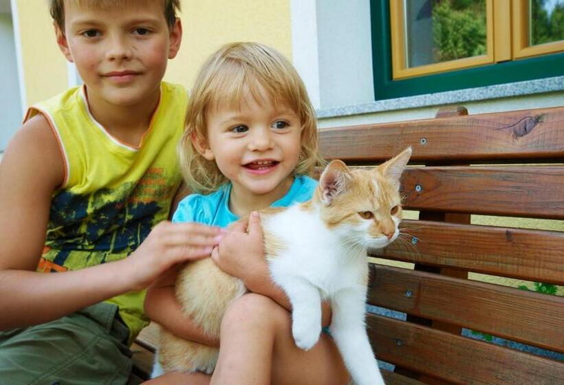 ペンション Familienbauernhof Salmanner