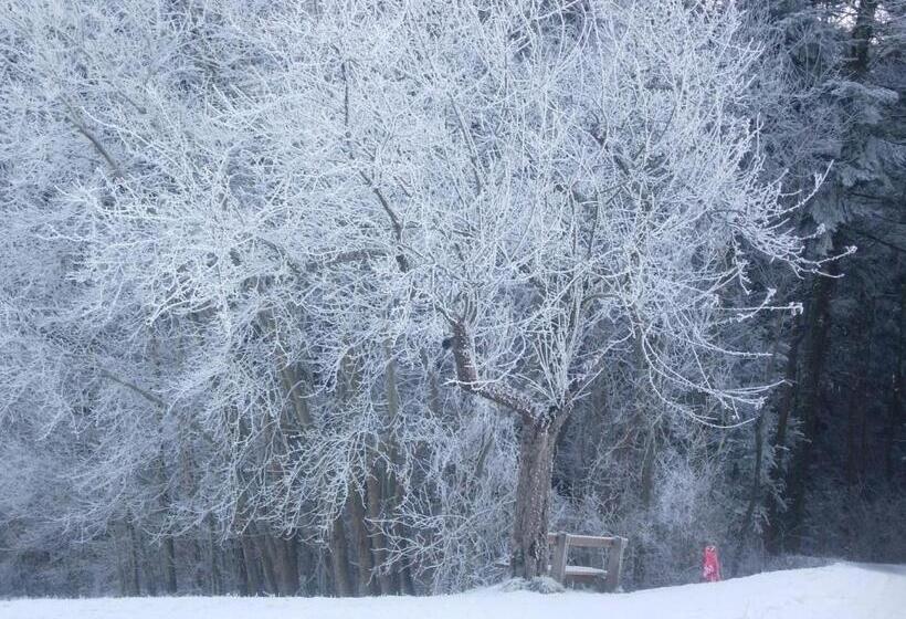 ペンション Familienbauernhof Salmanner