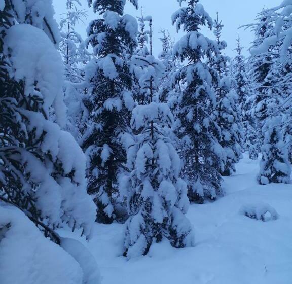 膳宿费 Kinkamon Pirtti