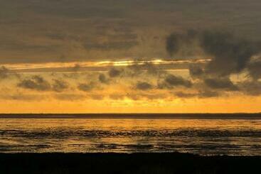 تختخواب و صبحانه Het Huis Van De Wadden