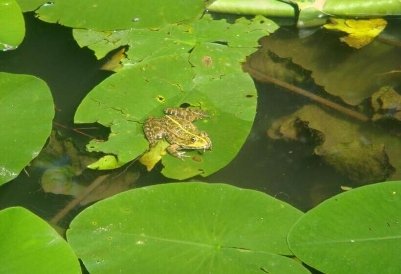 Bed & Breakfast La Val