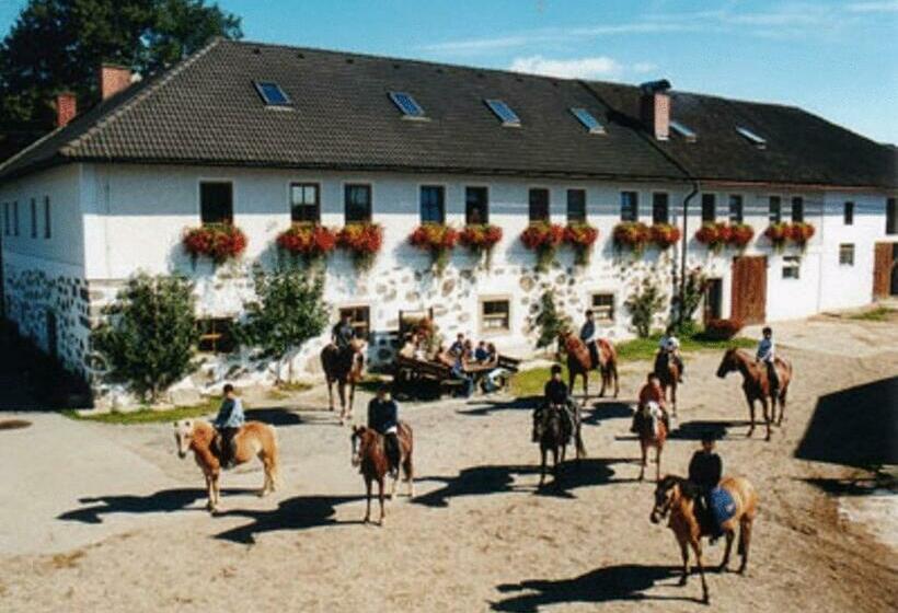 ホテル Reiterhof Stöglehner