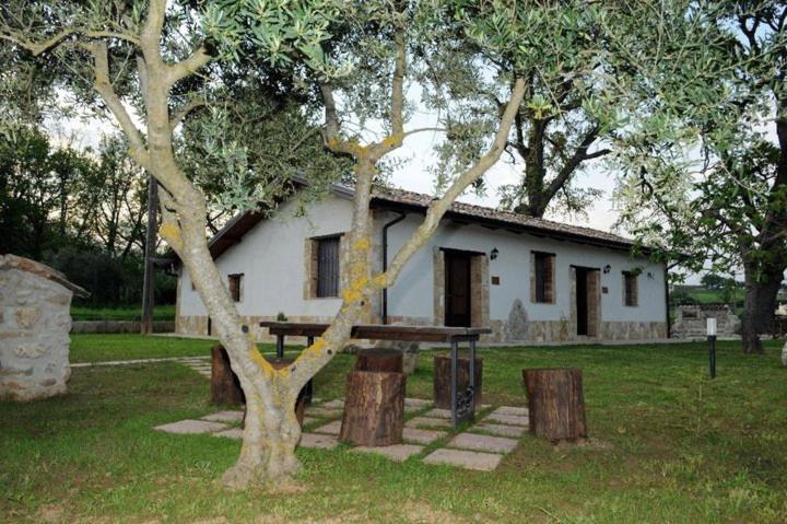 بنسيون La Casa Nella Prateria