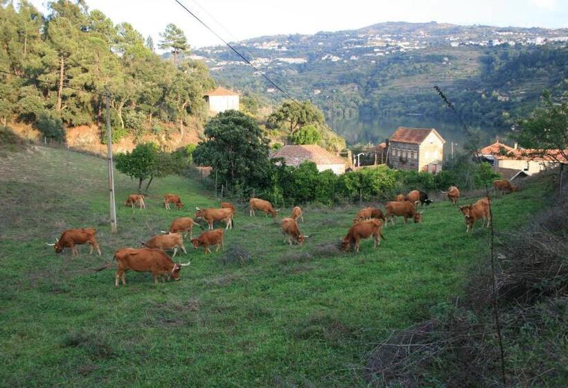 بنسيون Quinta Das Quintas & Spa