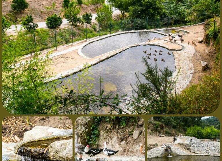 بنسيون Quinta Das Quintas & Spa