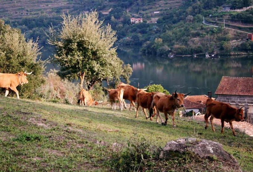 بنسيون Quinta Das Quintas & Spa