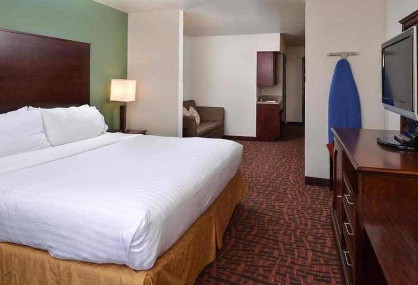 ホテル Holiday Inn Express  & Suites Cherry Hills