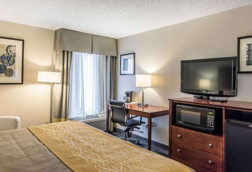 هتل Comfort Inn Sw Omaha I80