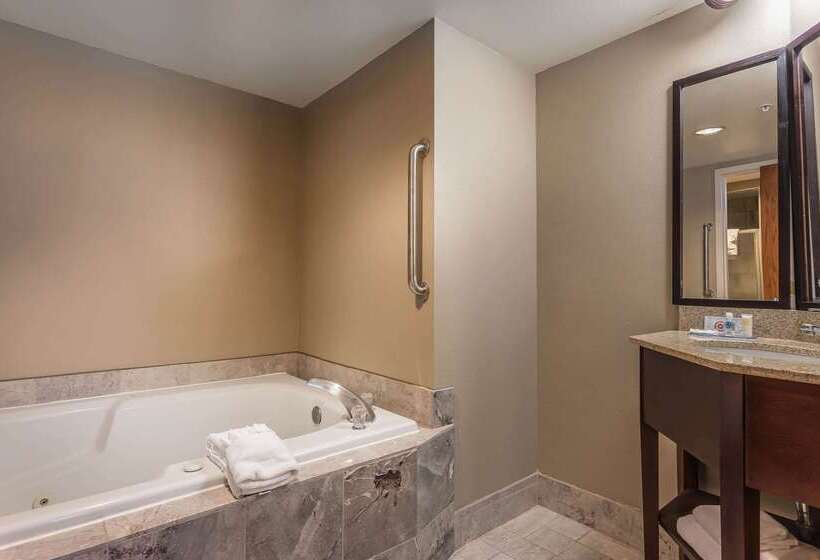هتل Comfort Inn Sw Omaha I80