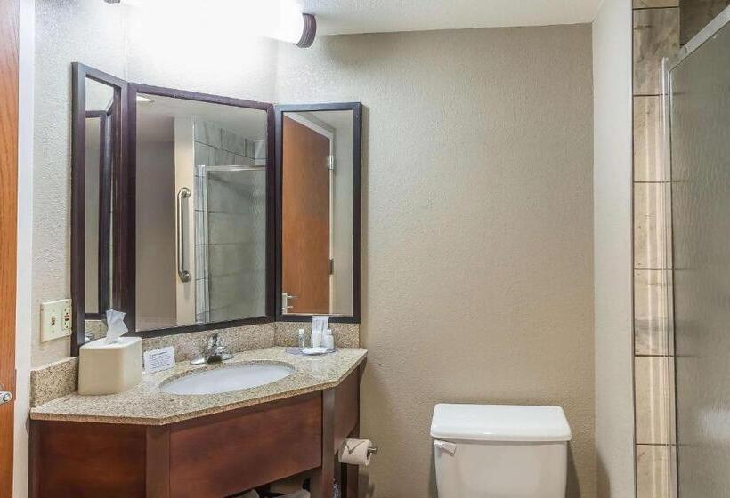 هتل Comfort Inn Sw Omaha I80