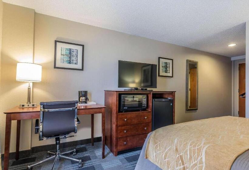 هتل Comfort Inn Sw Omaha I80
